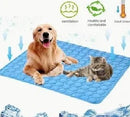 Tapete gelado para pets.